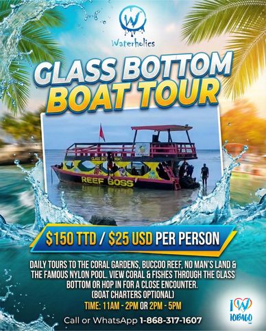 Colorful glass bottom boat tour advertisement with tropical backdrop.