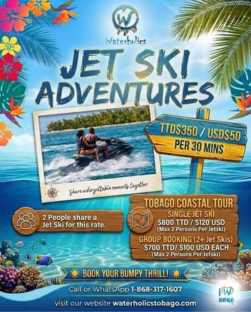 Waterholics Jet Ski