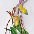 image15
