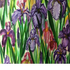 image14