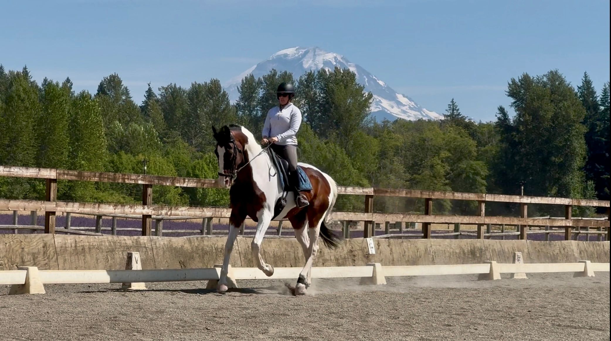 Person riding a horse in an outdoor arena with a snowy mountain in the background.