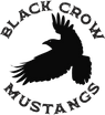 Black Crow Mustangs