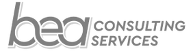 BEA Consulting Services