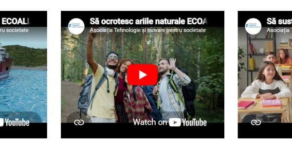 Young adults enjoying nature in a forest, promoting environmental conservation.