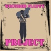 Wounded Fluffy Project