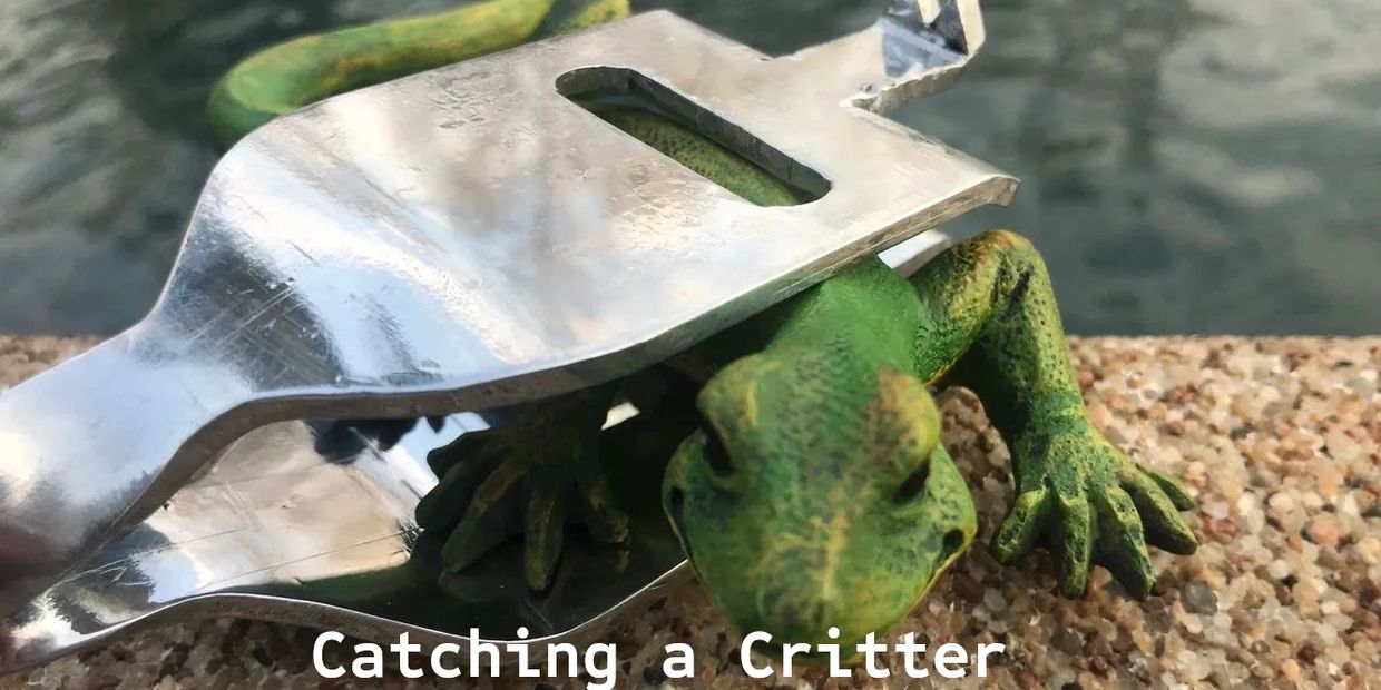a tool for Catching a Critter 