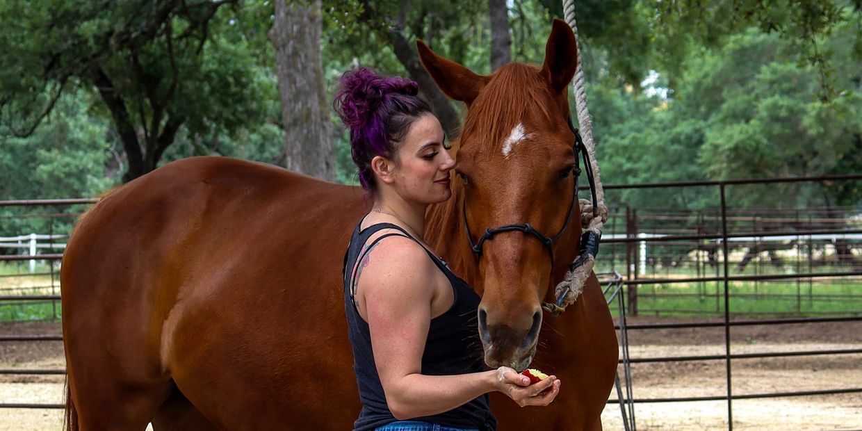 Woman feeding a horse in a fenced area.