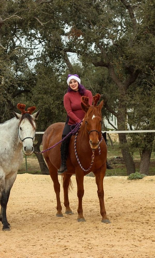 Woman on a horse wearing a Santa hat and two horses with reindeer antlers.