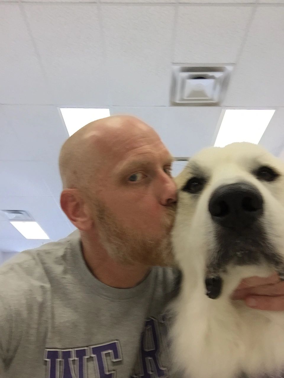 Man&rsquo;s Best Friend Dog Grooming in Scottsdale, Arizona