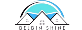 Belbin Shine