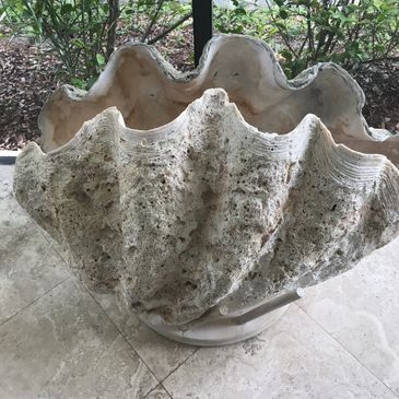 A rare pair of monster-sized authentic South Pacific giant clam shells for sale.