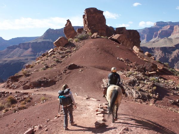 A wide landscape image of the Grand Canyon with Kelcy hiking and Cara on horseback
