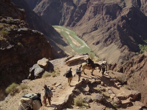 Looking down into the Grand Canyon. West leads Cara on horseback followed by Kelcy, John, and Mike.
