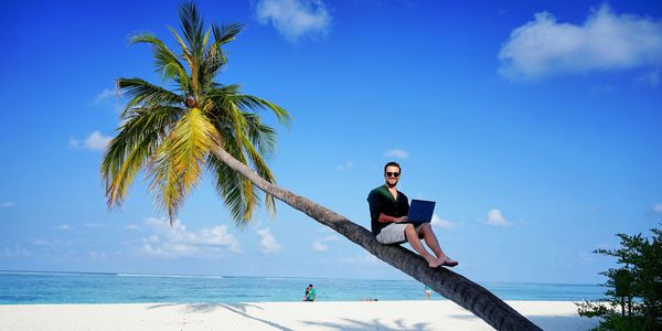 A guy with a laptop sitting on a bent over palm tree on a beach