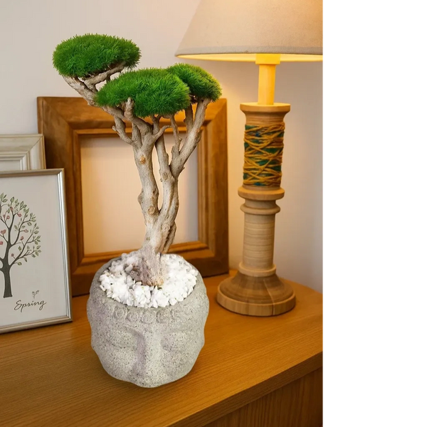 Moss bonsai tree sits in a textured gray pot filled with white pebbles. Unique buddha head pot.