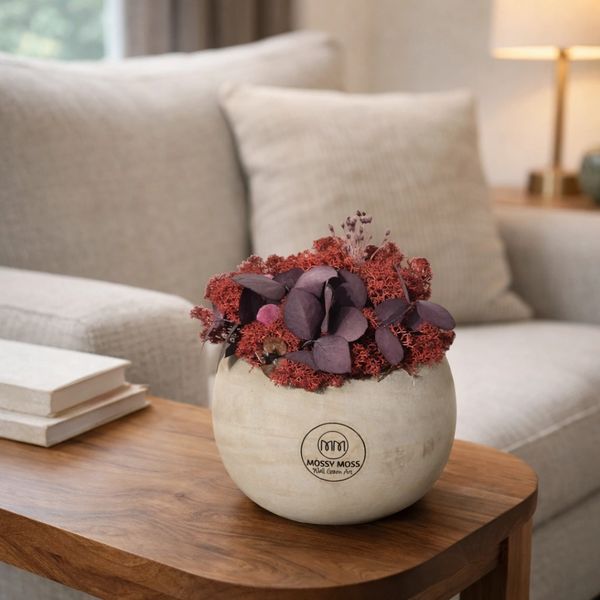 A compact preserved moss pot featuring rich crimson moss, moss cyprus