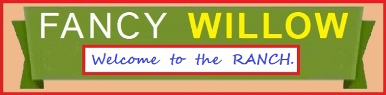 Outdoor Backyard BBQ fancywillow.com/pool-patio-furniture-golf
​
