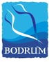 bodrum danışmanlık