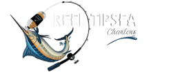 REEL TIPSEA