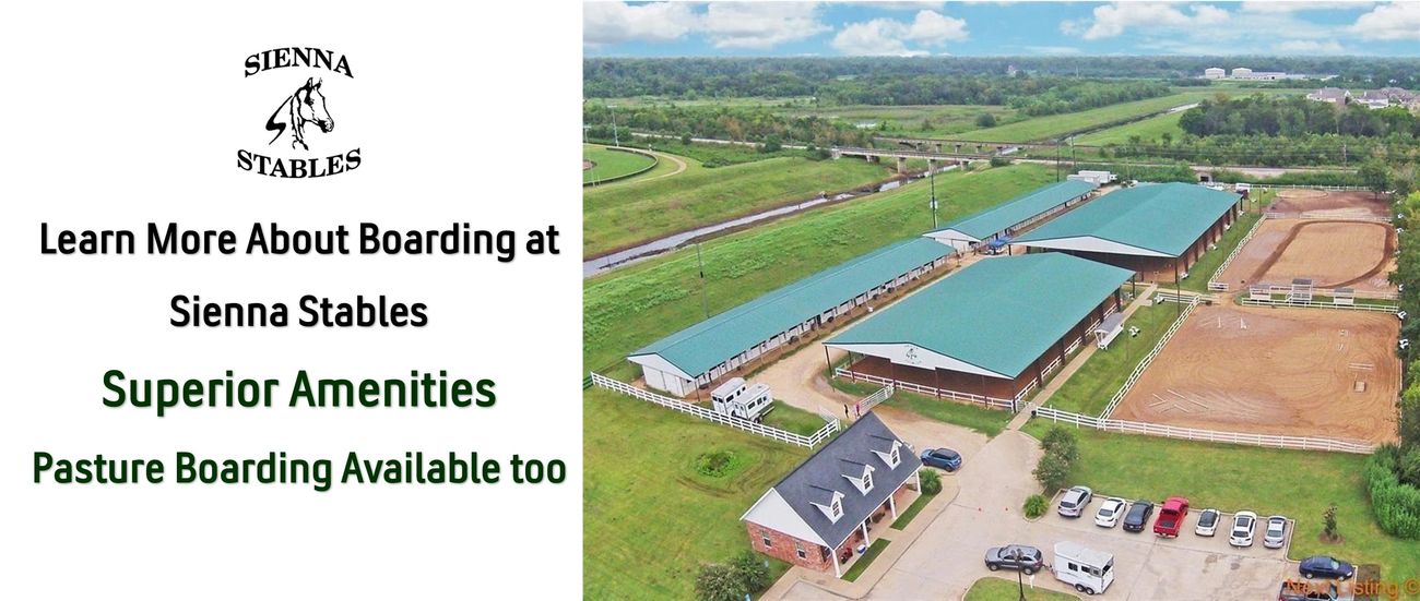 Sienna Stables