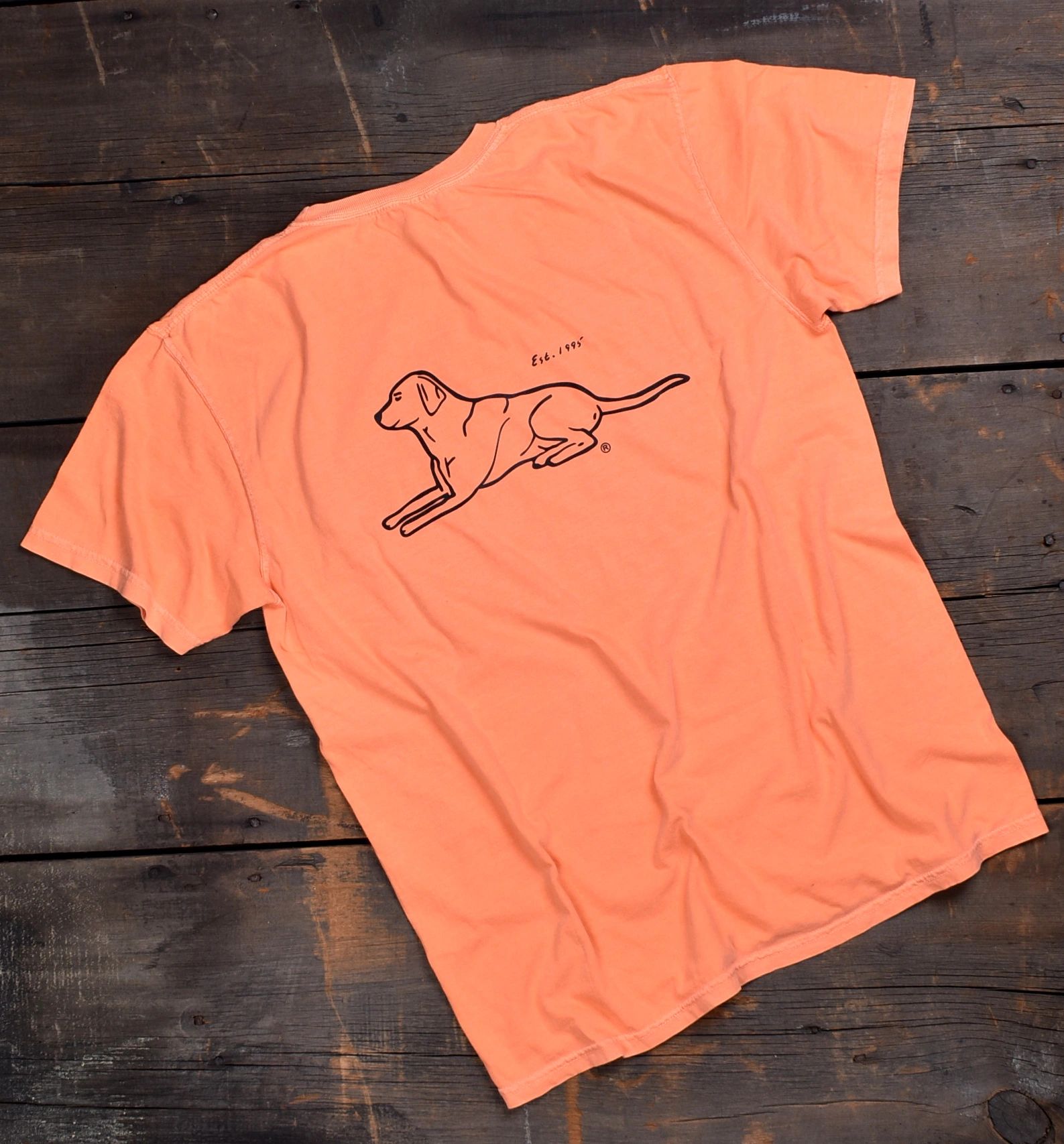 Labrador Retriever Labrador Clothing Apparel