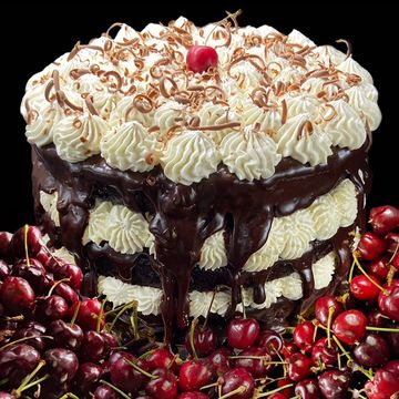 best black forest chocolate cake in san diego custom order black forest cake whipped cream cherries