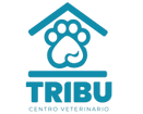 tribuveterinaria.com
