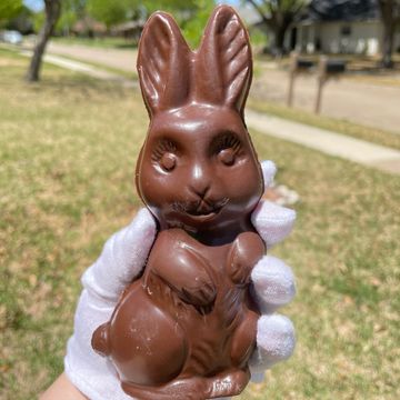 Chocolate bunny, chocolate piñata, Easter, treat, DFW, cake, birthday, breakable heart, breakables