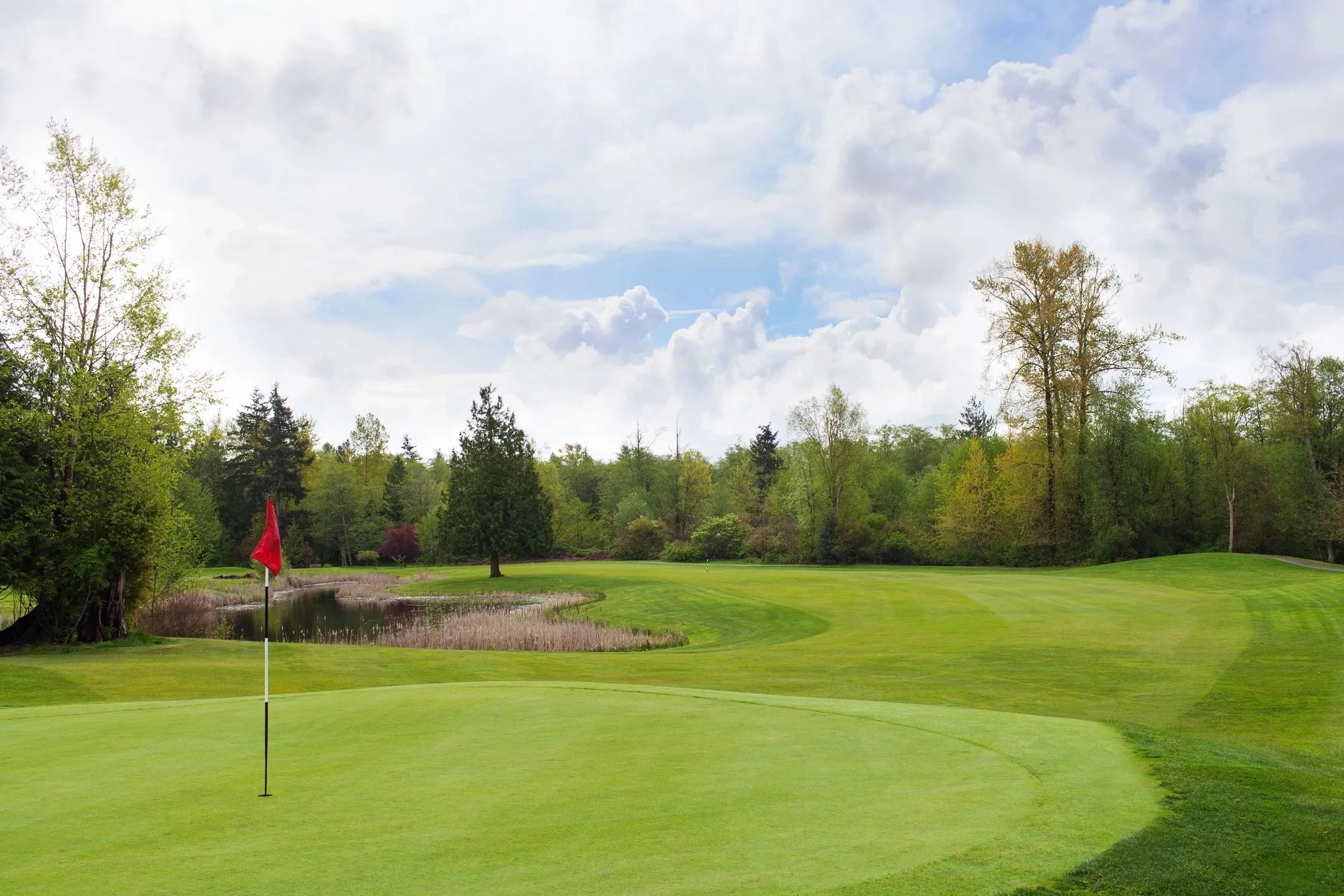 Red Carpet Golf Course, Waterloo, United States