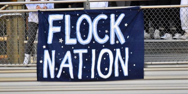 Farmington Football Flock Nation
