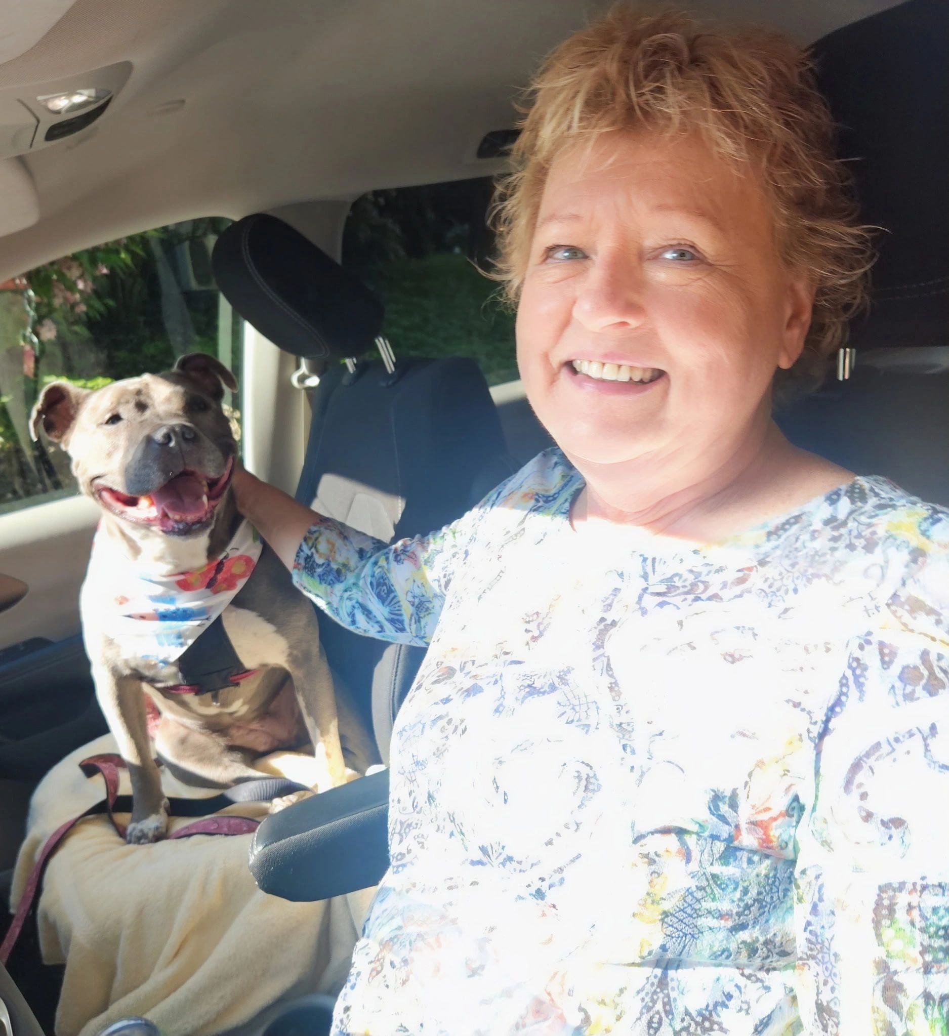 A cheerful pit bull mix riding beside his happy owner during a private Door To Door Pet Delivery trip.