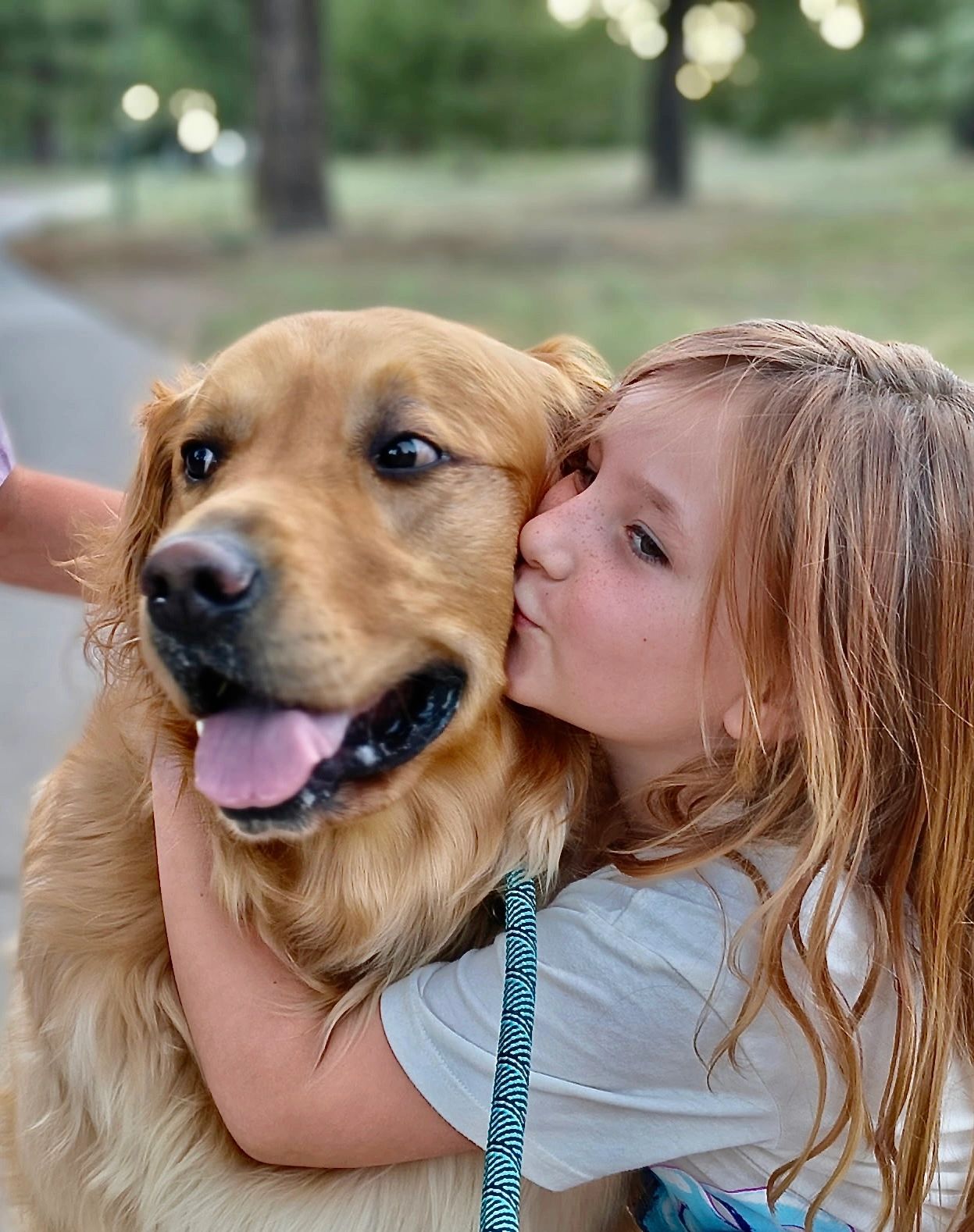 A happy pet riding safely during a private Door To Door Pet Delivery transport trip