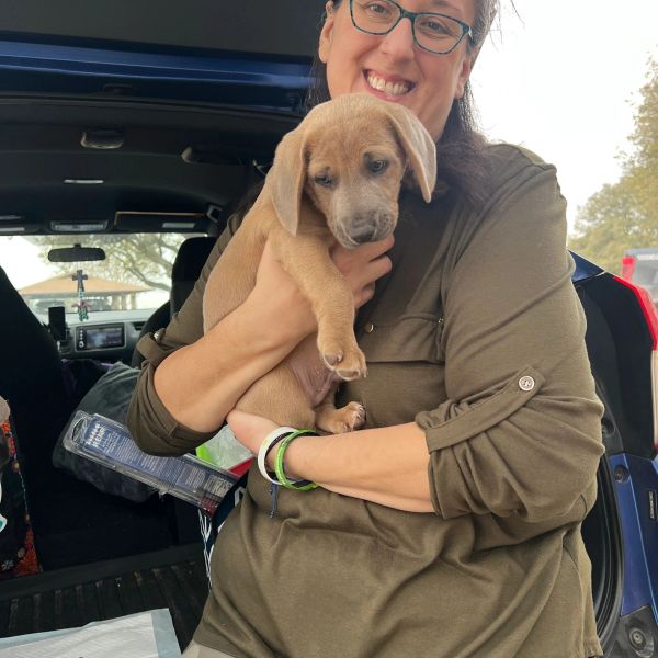 Dulce, Driver, West Texas at Door To Door Pet Delivery