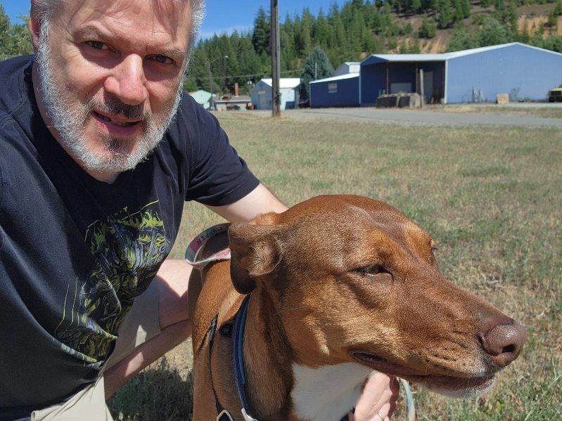 Door To Door Pet Delivery driver outdoors holding a brown short-haired dog close during a GPS-tracked transport stop