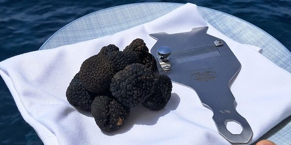 Enhance your yacht vacation with a personal chef catering to your every culinary need