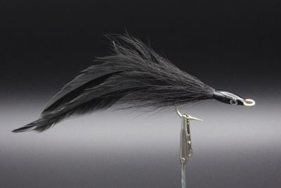 image8