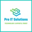 Professional IT Solutions