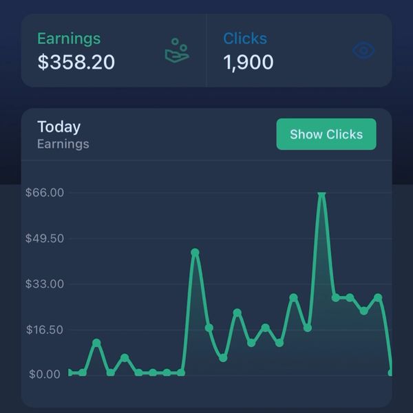 My earnings through one external source in a single day (ALL PROFIT).
