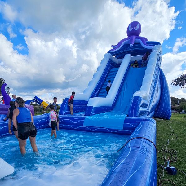 Inflable Pulpo acuatico para todas las edades, alquiler de inflables 