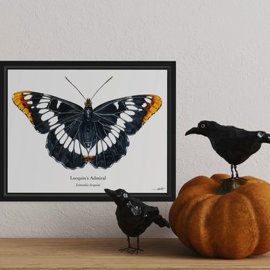 Decorative butterfly print with black bird figurines and pumpkin on wooden surface.