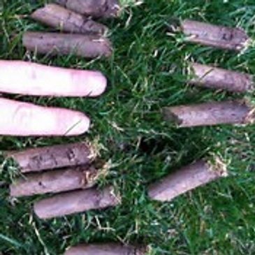 Core Aeration Plugs