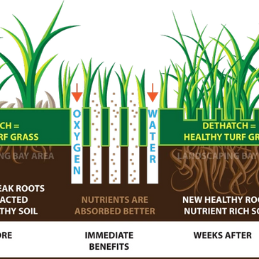 Benefits of Core Aeration 