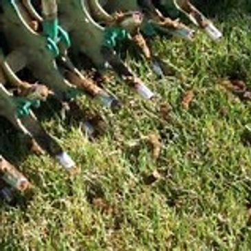 Core Aeration