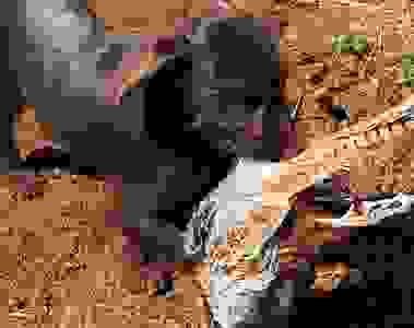 image63
