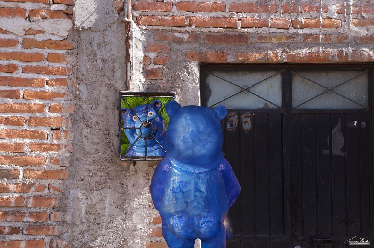 photomontage by photographer and artist Marvin Berk of Blue Bear answering SMA door bell. 