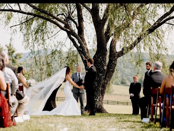 Bride and groom exchanging vows outdoors under a large tree with guests seated.