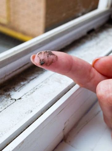 MOULD ON WINDOW FRAME