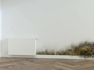 MOULD ON WALL