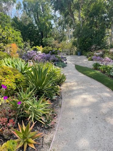 Dry Garden Rancho Bernardo, CA.