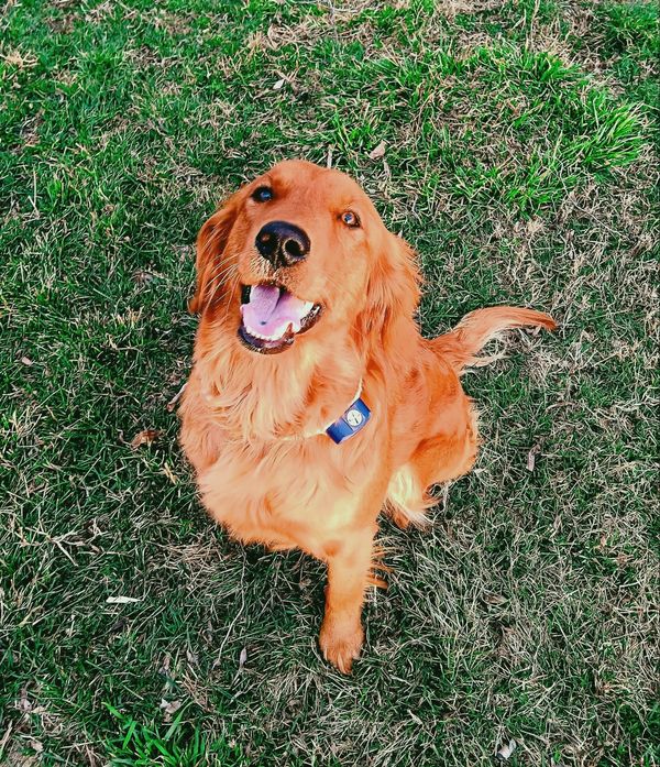 Willow saying hi!